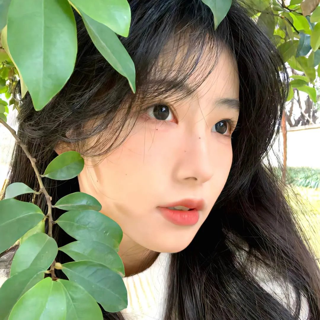 我的青春也灿烂